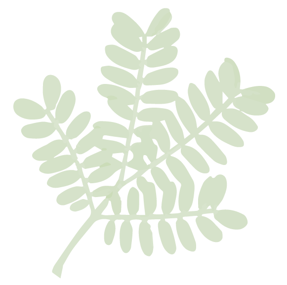 Leaf-Background